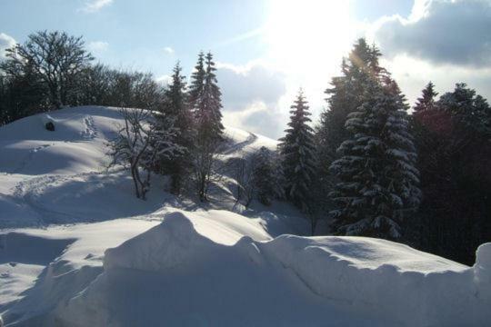 Les Chenes Rouges Apartment Gerardmer